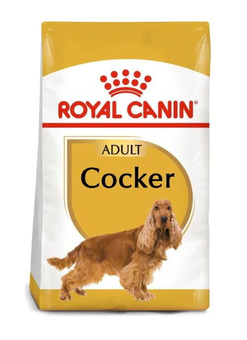 Royal Canin Cocker Adulto 3kg
