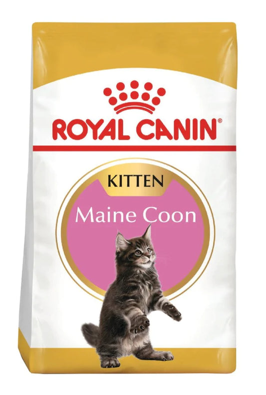 Royal Canin Kitten Maine Coon 4kg