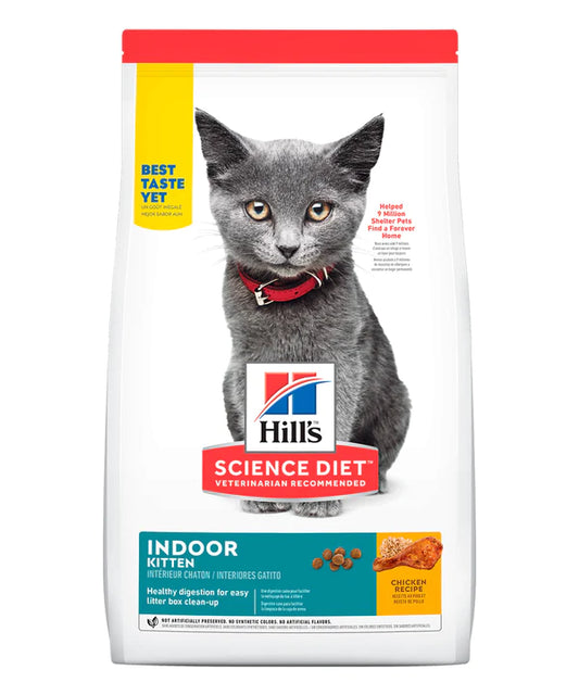 Hills Cat Kitten Indoor Pollo