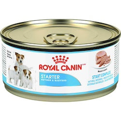 Royal Canin Lata Starter Mousse 165gr